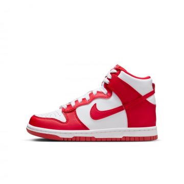 Pantofi sport Nike Dunk High Bg